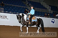 08usn-04906 proof