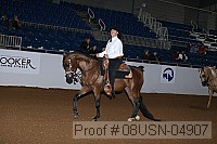 08usn-04907 proof