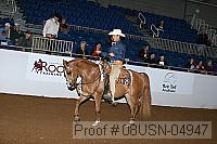 08usn-04947 proof