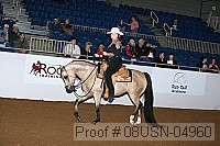 08usn-04960 proof