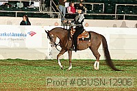 08usn-12906 proof
