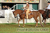 08usn-12908 proof