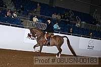 08usn-00183 proof