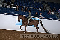 08usn-00185 proof