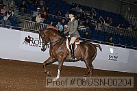 08usn-00204 proof