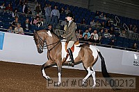 08usn-00212 proof