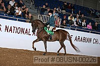 08usn-00226 proof