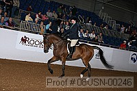 08usn-00246 proof