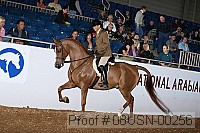 08usn-00256 proof