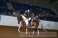 08usn-05663 proof