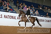 08usn-05687 proof