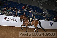08usn-09588 proof