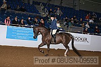 08usn-09593 proof