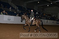 08usn-09595 proof