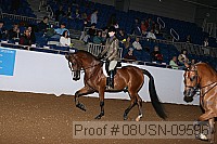08usn-09596 proof