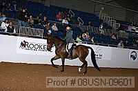 08usn-09601 proof
