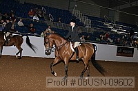 08usn-09602 proof