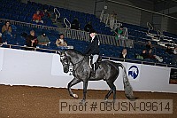 08usn-09614 proof