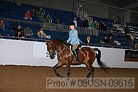 08usn-09615 proof