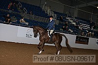 08usn-09617 proof