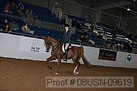 08usn-09619 proof