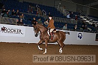 08usn-09631 proof