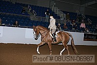 08usn-06987 proof