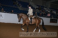 08usn-06989 proof