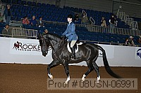 08usn-06991 proof