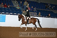 08usn-06993 proof