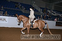 08usn-07000 proof