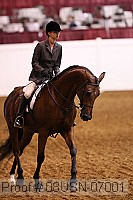 08usn-07001 proof