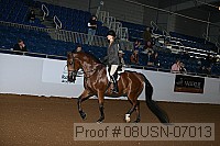 08usn-07013 proof
