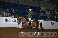 08usn-07016 proof