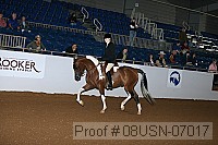 08usn-07017 proof