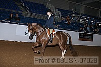 08usn-07028 proof
