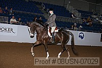 08usn-07029 proof