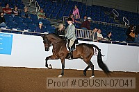 08usn-07041 proof