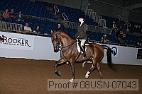 08usn-07043 proof