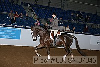 08usn-07045 proof