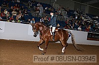 08usn-03945 proof