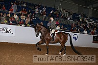 08usn-03946 proof