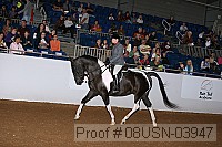 08usn-03947 proof