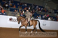 08usn-03948 proof