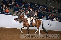 08usn-03949 proof