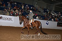 08usn-03953 proof
