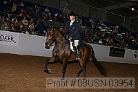 08usn-03954 proof