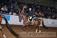 08usn-03955 proof