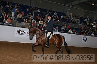 08usn-03956 proof