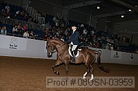 08usn-03959 proof